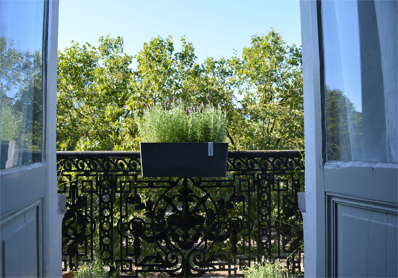 Schicke Blumentöpfe und Pflanzgefäße für einen stilvollen Außenbereich