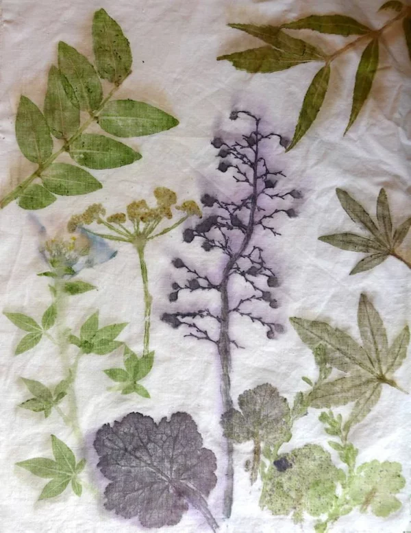 Tataki Zomé japanische Technik Pflanzen und Blumen schöne Formen und Farben auf Stoff oder Papier übertragen 