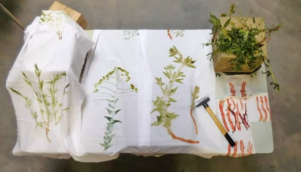 japanische Technik Tataki Zomé erlernen mit frischen Pflanzen arbeiten auf Papier oder Stoff natürliche Farben übertragen 
