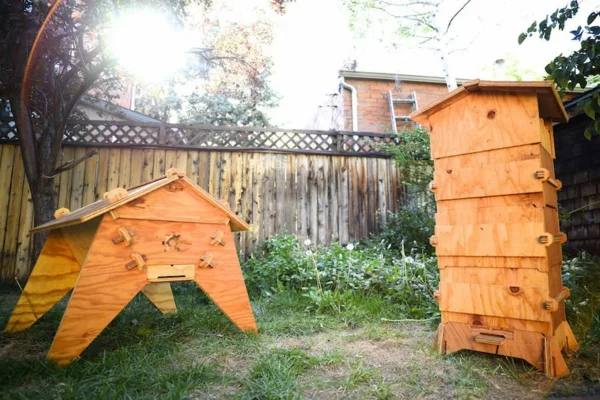DIY Projekt Bienenstock bauen genau Anleitung für Hobby-Imker nützliche Tipps 