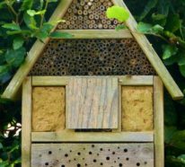 So können Sie einen Bienenstock bauen: ausführliche Anleitung