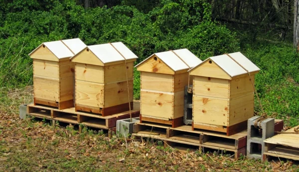 DIY Projekt Bienenstock bauen aus Holz genaue Anleitung für Hobby Imker Bienenstöcke im Garten platziert