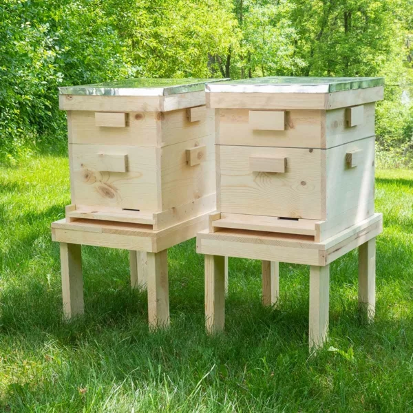 genaue Anleitung für Bienenstock bauen für Hobby Imker zwei Bienenbeuten im Garten 