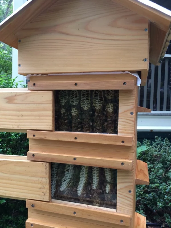 Bienenstock selber bauen kreatives und praktisches DIY Projekt für Hobby Imker 
