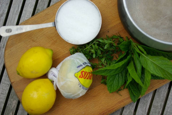 Kräuterlimonade selber machen Limonade mit Minze zubereiten