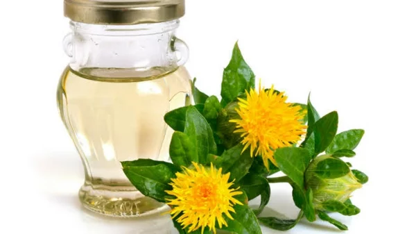 Saflorpflanze Blüten Distelöl gesundheitliche Vorteile