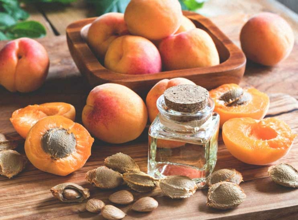 aprikosenkerne gesund nährwerte