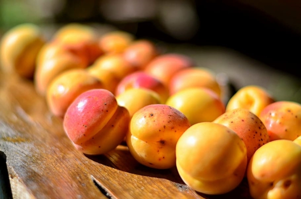 bio aprikosen frische früchte nährwerte