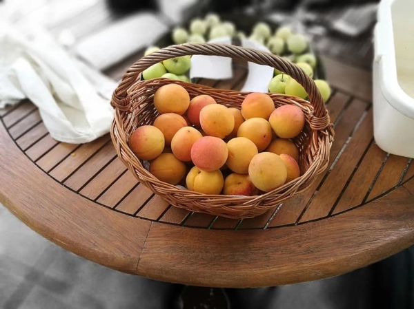 gesunde ernährung frische aprikosen