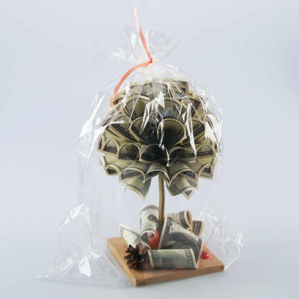 Geldbaum basteln – Kreative Geschenkideen für jeden Anlass kleine geschenk idee unter folie