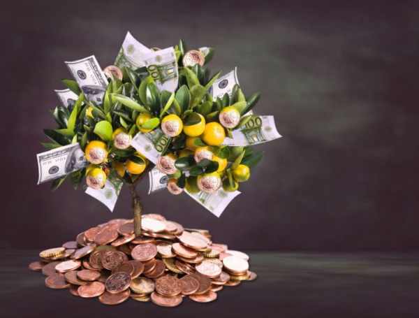 Geldbaum basteln – Kreative Geschenkideen für jeden Anlass zitronen baum geld geschenk idee