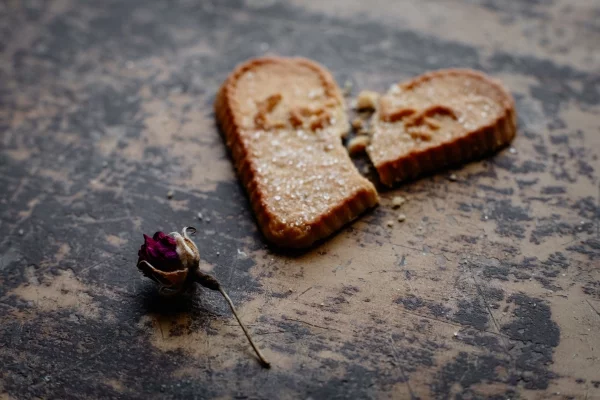 Schoko-Nuss-Kekse mit Chili – das perfekte Rezept gegen Liebeskummer gebrockenes herz keks rose