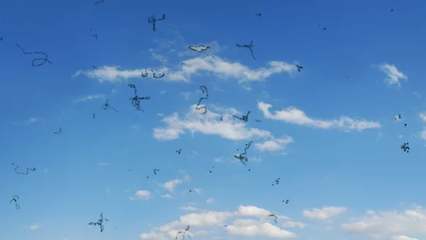 Mouches volantes - Himmel-Aussicht mit Glaskörpertrübung 