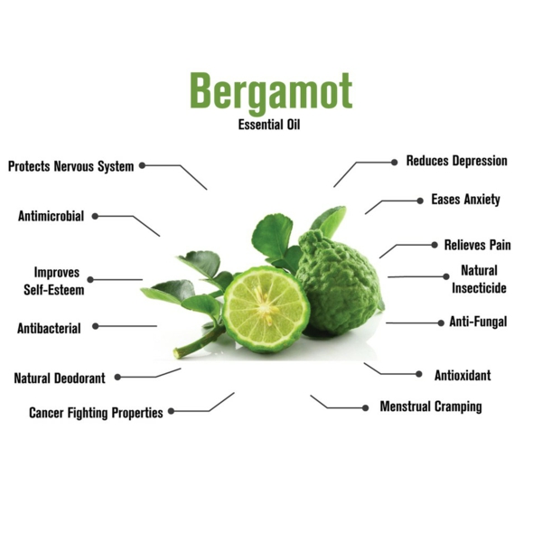 Bergamotte Öl Pflanze Bestandteile