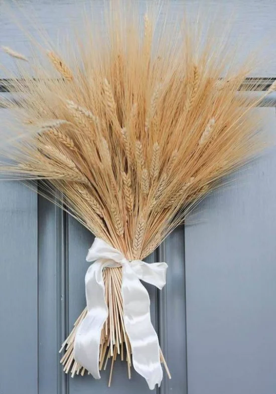 Herbstdeko mit Weizen ein Bündel Weizenstängel mit Schleife zusammengebunden als Türschmuck
