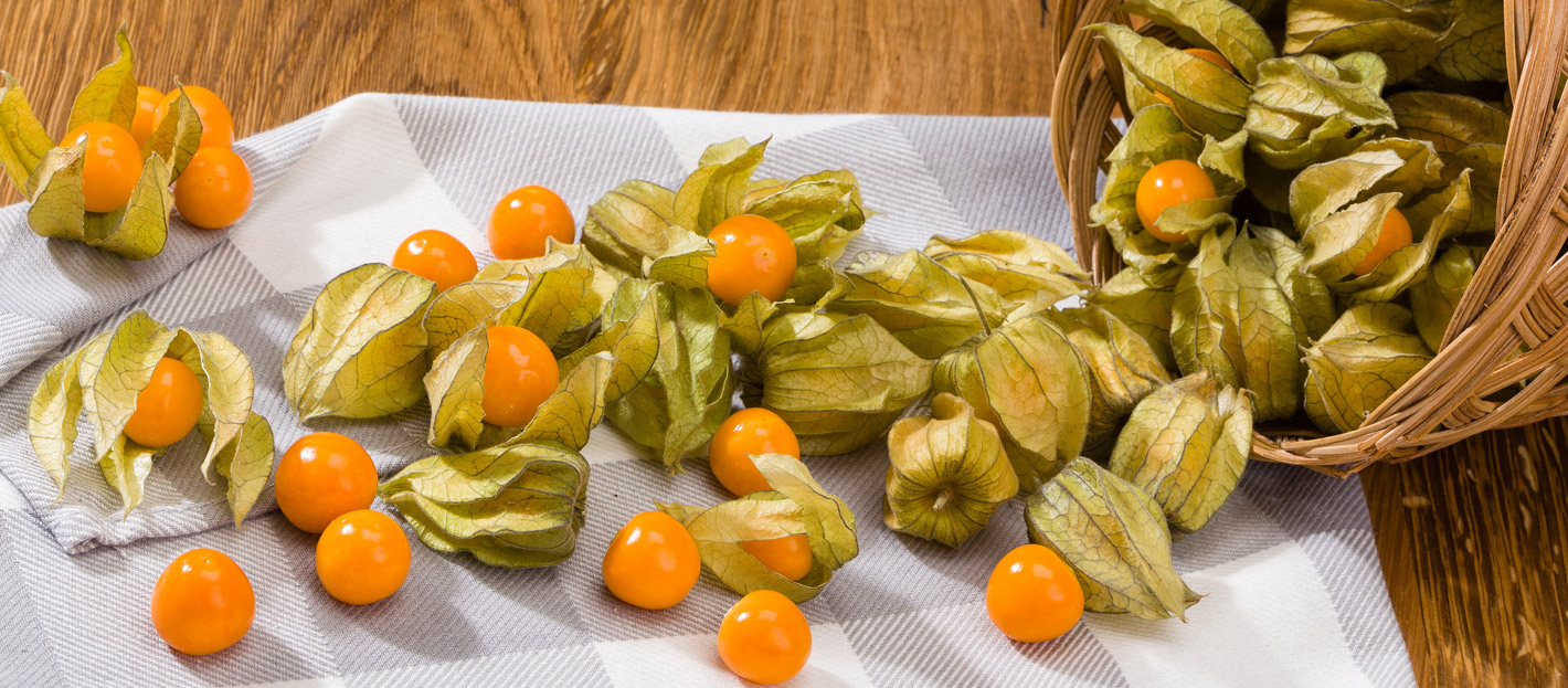 Physalis – exotisches Obst in orange Lampions gehüllt - Fresh Ideen für