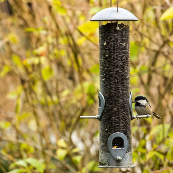 Vogelfutterspender selber bauen Gartenvögel füttern kreatives DIY Projekt für Vogelfreunde 