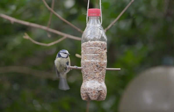 Vogelfutterspender selber bauen Plastikflasche Holzlstäbchen