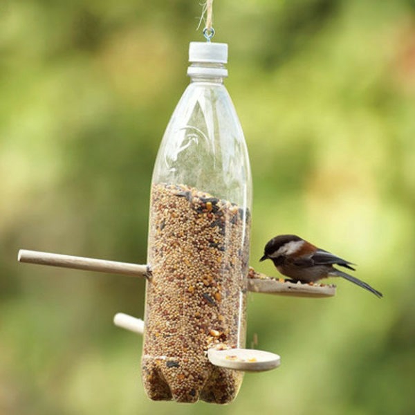 Vogelfutterspender selber bauen Plastikflasche Holzlöffel Gartenvögel