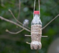 Vogelfutterspender selber bauen: Anleitung für Futterspender aus Plastikflaschen