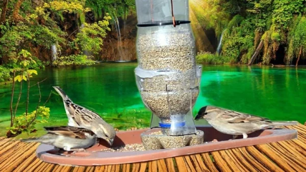 Vogelfutterspender selber bauen aus Plastikflasche Gartenvögel füttern im Garten haben 