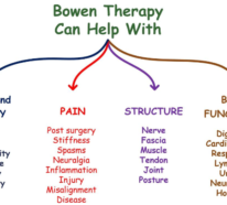 Die Bowen Therapie hilft Ihnen, die Wurzeln Ihrer Gesundheitsprobleme zu finden!