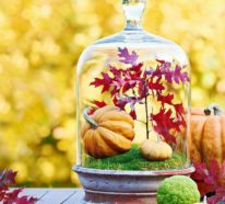 Herbstdeko im Glas – 39 einfache Dekoideen mit Naturmaterialien zum Nachmachen
