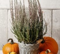 Dekoideen mit Heidekraut – Bringen Sie den Herbst nach Hause mit diesem zarten Stimmungsmacher!