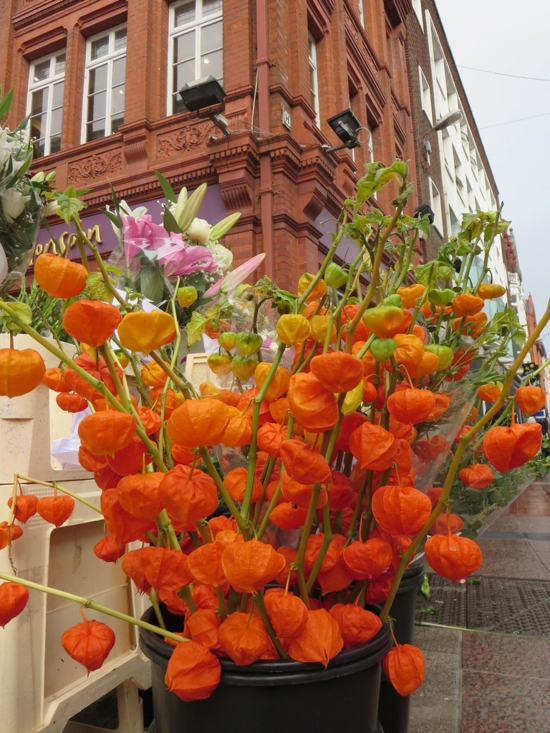 Stimmungsvolle Herbstdeko Ideen mit Lampionblume Physalis
