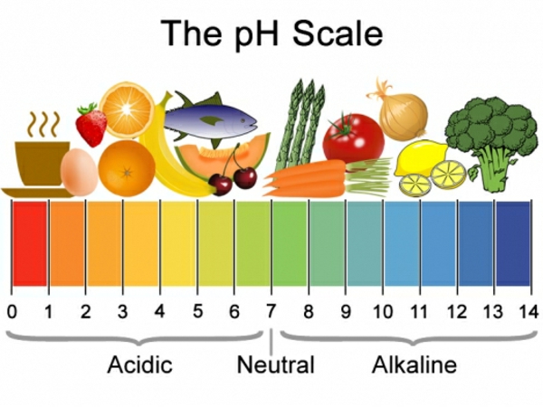 Übersäuerung des Körpers Symptome pH Werte Lebensmittel