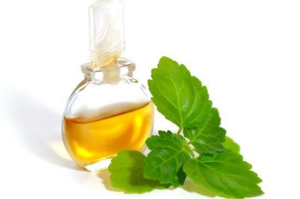ätherisches Patchouli Öl Vorteile Blätter