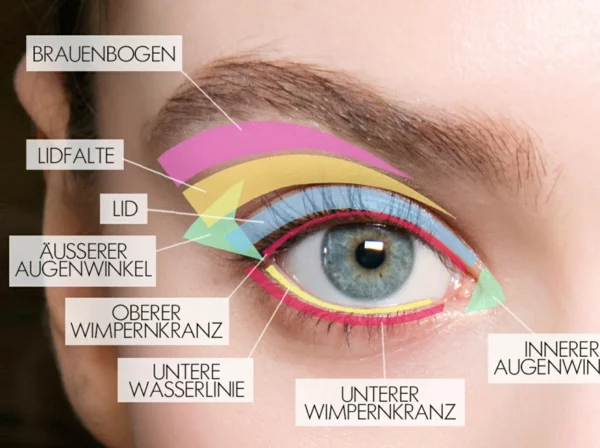 Augenteile die Struktur des Auges gut kennen für perfektes Make-up Augen größer schminken 
