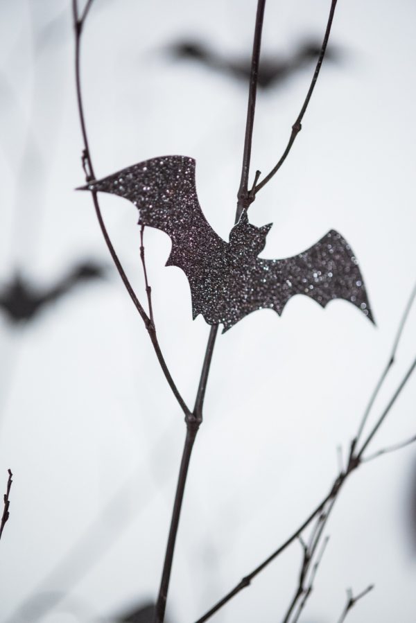 Fledermaus basteln mit Kindern zu Halloween – 50 bezaubernde Ideen und Anleitungen fledermäuse schwarz papier zweige
