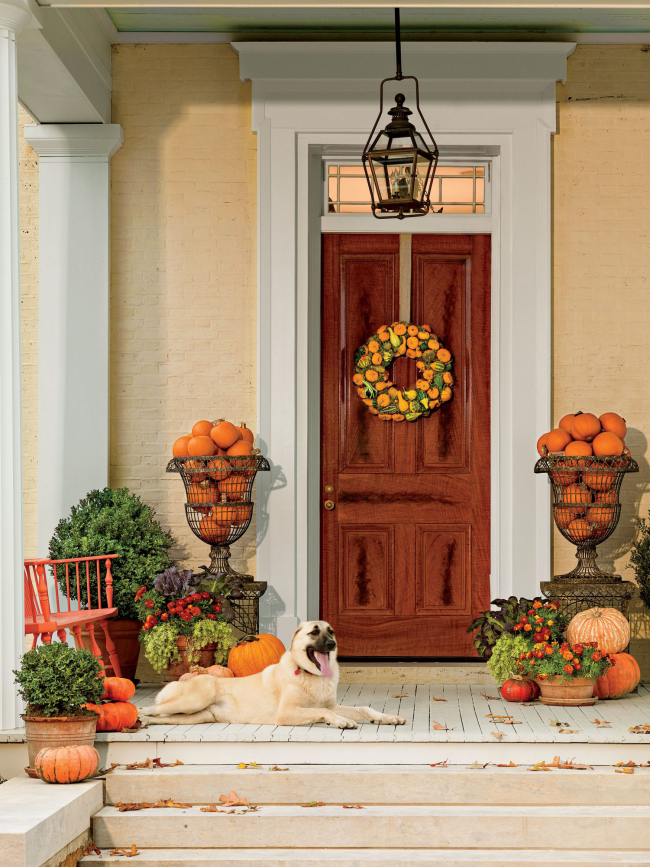 Herbstdeko für draußen vor der Haustür Hund schöner Herbstkranz orangefarbene Kürbisse