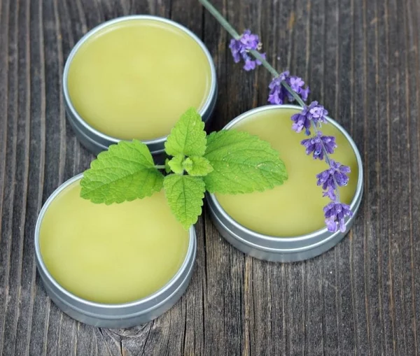 Zitronenmelisse Tee – Immunität und Psyche durch die Gaben der Natur stärken salbe creme selber machen
