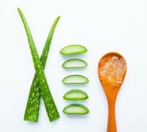 Aloe Vera Gel selber machen- ein gesundes Elixier und etwas mehr