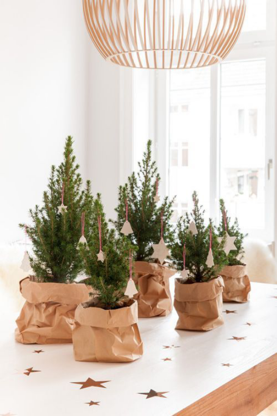 Kleinen Christbaum schmücken zur Schau stellen einige Weihnachtsbäume in Papiersäcken auf dem Küchentisch