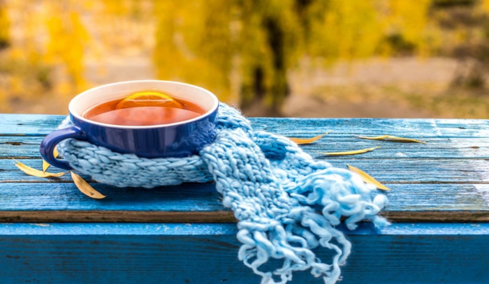 Tee selber machen wintertee weihnachtstee erkältungstee