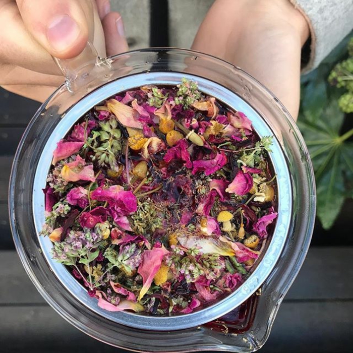 Tee selber machen wintertee weihnachtstee'oreagano rosenblatt