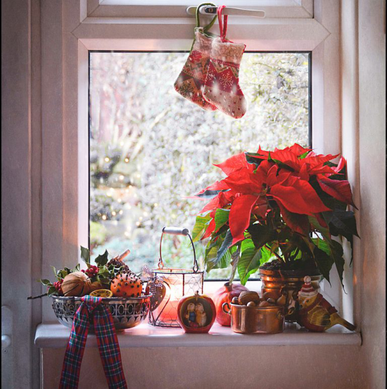 Weihnachtliche Fensterdeko Weihnachtsstern im Topf am Fenster sieht man auch von draußen herrliche Weihnachtsstimmung verbreiten
