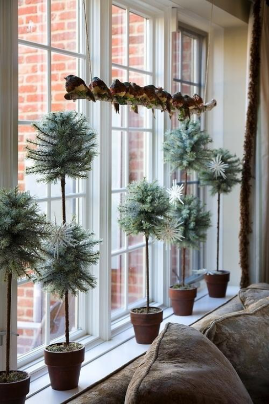 Weihnachtliche Fensterdeko klassische Deko Ast mit kleinen Vögeln einige Töpfe mit immergrünen Pflanzen auf der Fensterbank