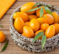 Wie kann man Kumquat essen und wie gesund ist die exotische Frucht wirklich?