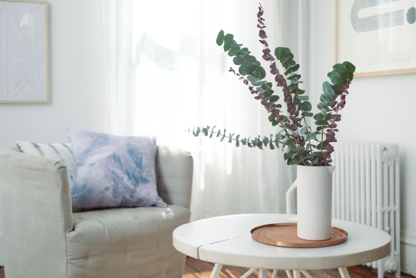 Eukalyptus Pflege Tipps für Hobbygärtner – puristische Zierpflanze im Überblick zierpflanze schnitt pflanze wohnzimmer