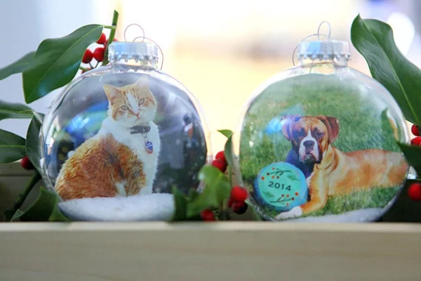 Fotogeschenke basteln zu Weihnachten – kreative Ideen und Anleitung katze hund haustiere ornamente