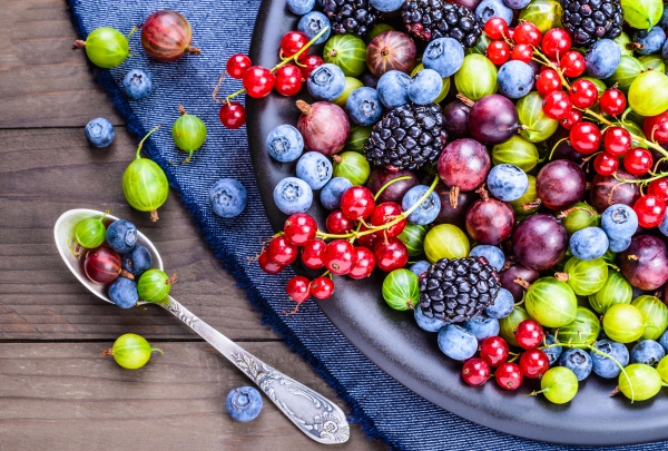Gesündestes Obst Top 5 der nahrhaftesten Sorten gesundes obstsalat schön bunt