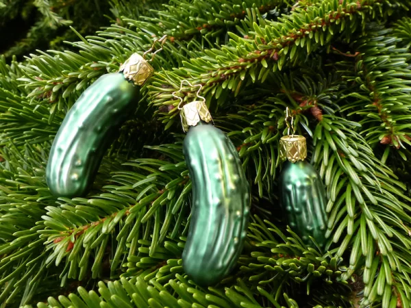 Weihnachtsgurke grüne Glasornamente in Gurkenform zwischen den Tannenzweigen versteckt