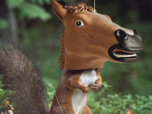 Witzige und praktische Online Schrottwichteln Ideen und Tipps lustige eichhörnchen futter station
