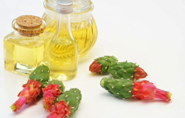 kaktusfeigenkernöl gesunde wirkung