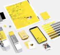 Pantone Farbe des Jahres 2021 – „Ultimate Gray“ und „Illuminating Yellow“