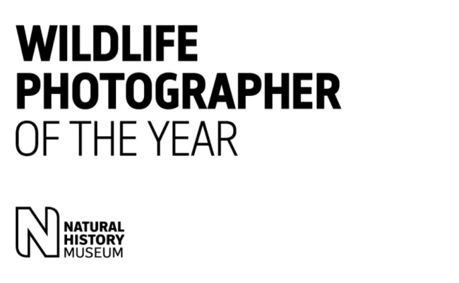 2020 Wildlife Photographer of The Year logo museum london